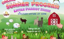 2020 Summer Program Online