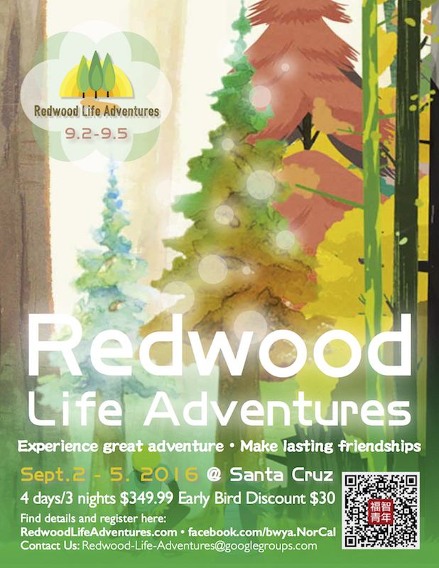 Redwood Life Adventure