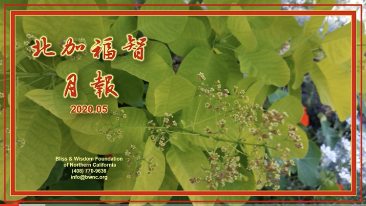 北加 2020/05 月報